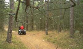 Kuršių nerijoje medžios keturratininkus