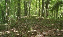 Pernai aptikti du piliakalniai bus saugomi