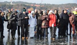 Stintapūkio šventė: nuo austrių iki traškančio ledo