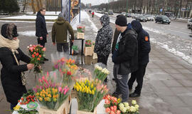 Tulpių prekybininkai skundė vieni kitus