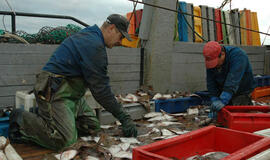 Žvejai ir vėl nesutarė dėl kvotų