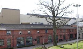 Ką byloja seniausi miesto medžiai?