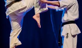 "Shodan" karatė mokykla pagerbė geriausius praėjusių metų sportininkus