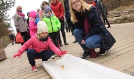 Margučių ridenimo čempionatas Palangoje