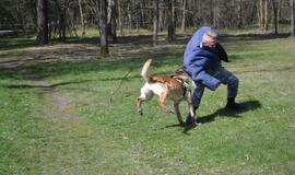 Keturkojai Klaipėdos „pareigūnai“: ir meilumo įsikūnijimas, ir gelbėtojai, ir dantyti žvėrys