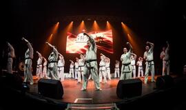 "Shodan" karatė mokykla pagerbė geriausius praėjusių metų sportininkus