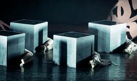 Šokio spektaklis „Žizel“