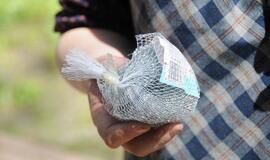 Klaipėdiečiai šveitė skulptūras