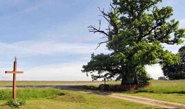 Savaitgalis su šeima. Ką dar aplankyti Lietuvoje?