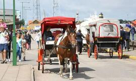 Kinkomojo transporto paslaugas siūlys senbuviai