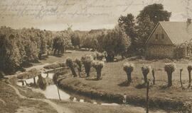 Alfredas Brustas iš Katyčių