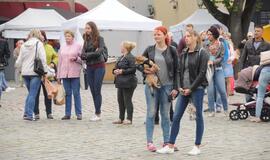 Žuvienės virimo čempionatas