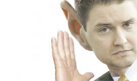 Prezidentės noras Mykolui Majauskui įstatymas