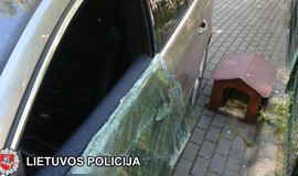 Sulaikytas įtariamasis vogęs “Volkswagenų” multimedijas