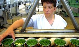 Žalieji žirneliai - naudingas ir sveikas produktas