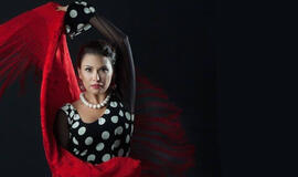 Flamenko ir fortepijonas – netikėta, aistringa, intymu