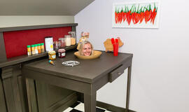 Iliuzijų name Palangoje – unikalūs eksponatai