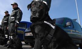 Kvaišalai į Lietuvą atkeliauja ir paštu