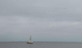 Mariose jachta kliudė aukštos įtampos liniją