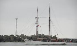 Šventėje laukiama daugiau nei pusės milijono svečių