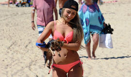 Prieš savaitgalį Palangoje - neįprastas sujudimas