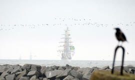 Šventėje laukiama daugiau nei pusės milijono svečių