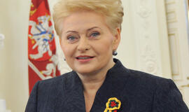 Dalia Grybauskaitė apie smurtą: Lietuva ima busti iš abejingumo