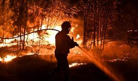 Miškų gaisrai Portugalijoje įkalino 2 000 gyventojų