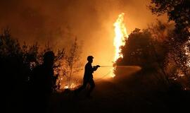 Netoli Atėnų liepsnoja nekontroliuojamas miško gaisras