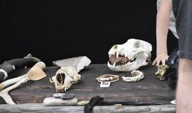 Jono kalnelio sala virto archajiškos fiestos vieta