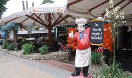 "DeCuba" sėkmę nulėmė vokiški pasirinkimai