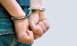 Teismas nusprendė: „Facebook“ ir „Google“ apgaule įtariamas E. Rimašauskas išduodamas JAV