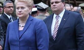 Dalia Grybauskaitė: turto ir prabangos mokesčiai turėtų būti didesni