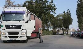 Imigrantai moko išgyvenimo su lietuvišku atlyginimu: "Gyvenkit automobilyje"