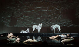 Klaipėdoje paskelbtas Šiuolaikinio meno mėnuo