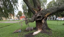 Vėjas pridarė nuostolių