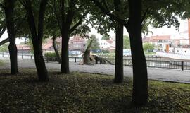 Vėjas pridarė nuostolių