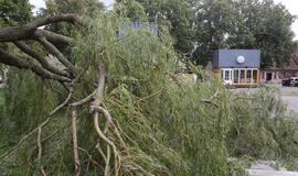 Vėjas pridarė nuostolių