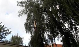 Vėjas pridarė nuostolių