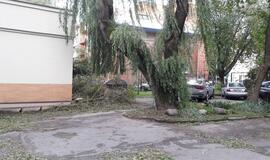 Vėjas pridarė nuostolių