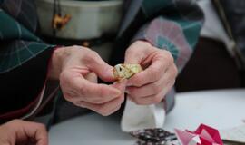 Klaipėdiečiai sėmėsi japonų kultūros