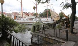 Vėjas pridarė nuostolių