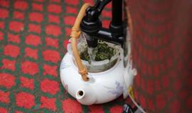 Klaipėdiečiai sėmėsi japonų kultūros