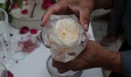 Klaipėdiečiai sėmėsi japonų kultūros