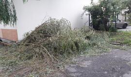 Vėjas pridarė nuostolių