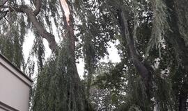 Vėjas pridarė nuostolių