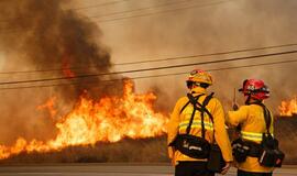 Kalifornijoje siautėjantys didžiuliai miškų gaisrai pareikalavo mažiausiai 10 žmonių gyvybių