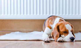 Nuo lapkričio didmiesčiuose brangs šiluma