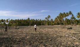 „Nepatogus kinas“