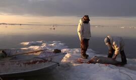 „Nepatogus kinas“